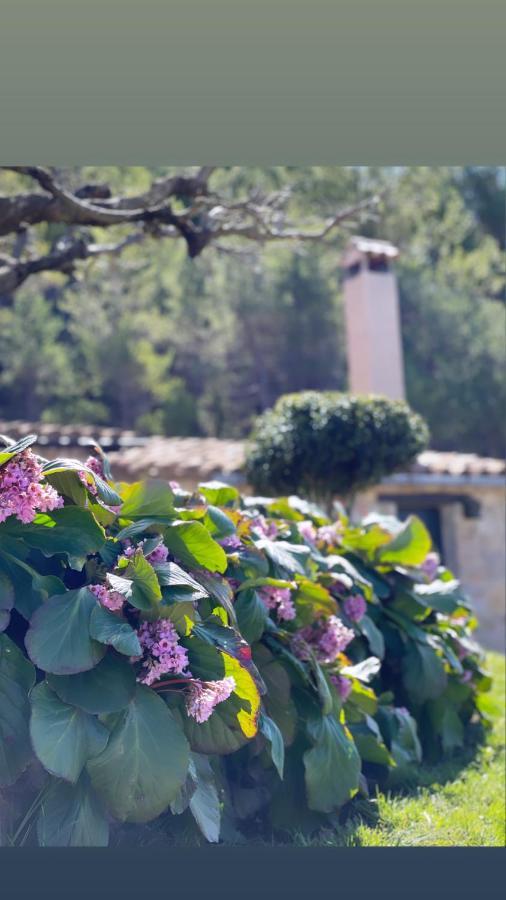 Appartamento Masia Cap Del Roc Vallcebre